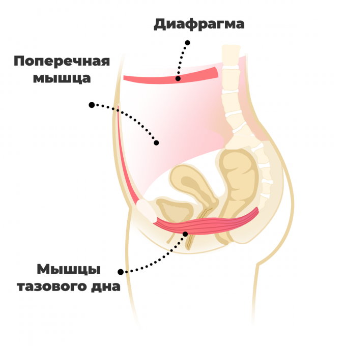 Опущение внутренних органов